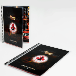 Emplastificados - Anillados